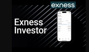 Exness سرمایہ کار اکاؤنٹ